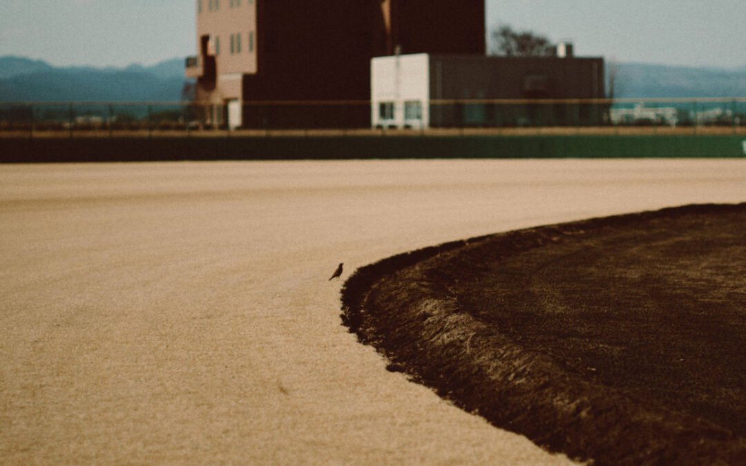 Professional baseball